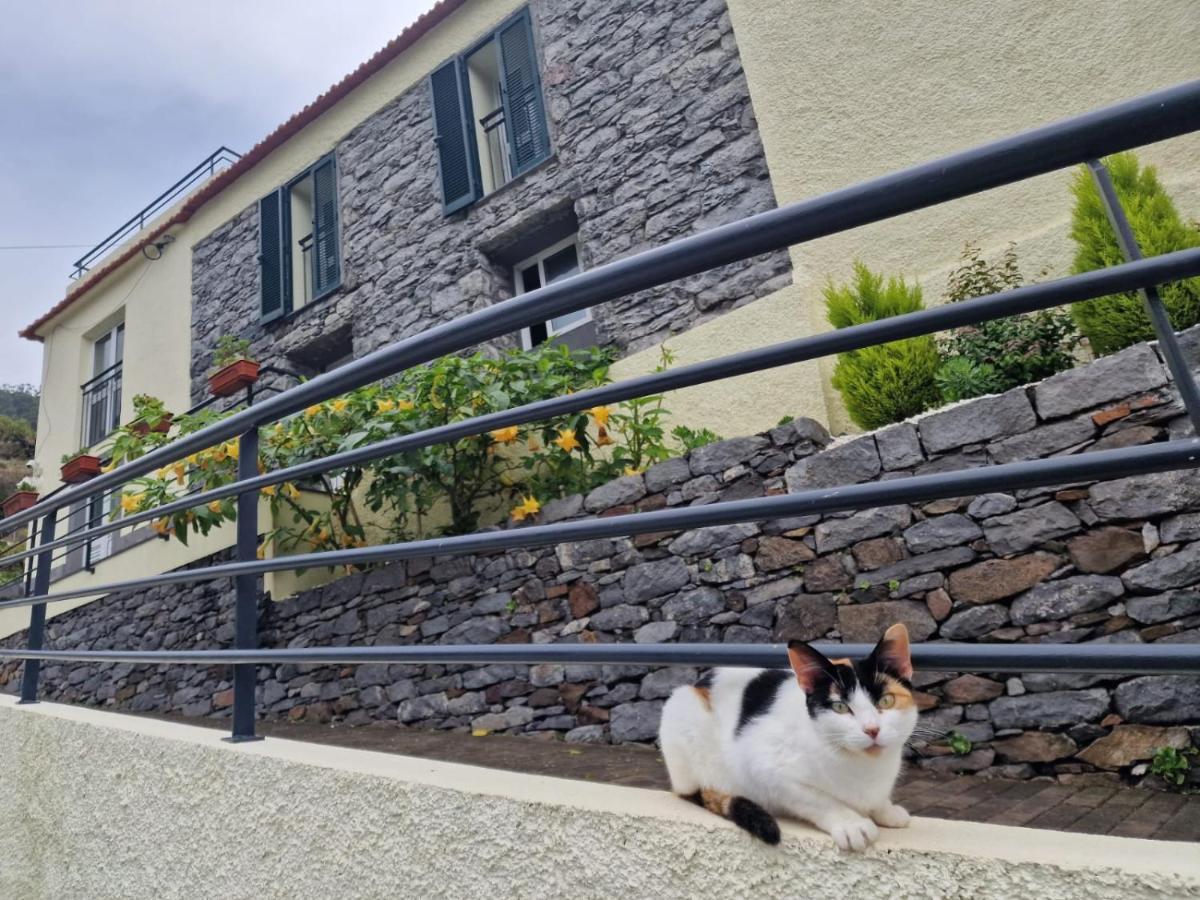 Green Valley House Madeira Ribeira Brava Exteriör bild